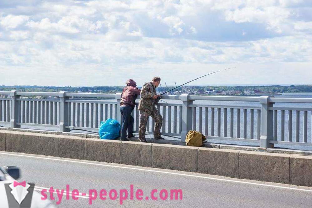 Риболов у Саратов на Волге: фотографије и критике