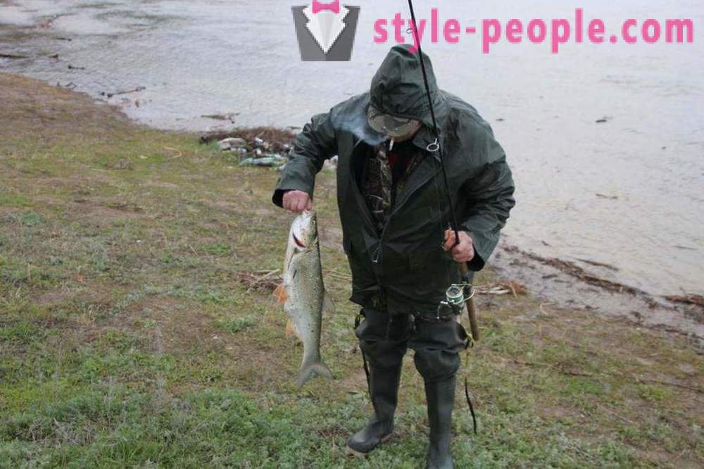 Риболов у Саратов на Волге: фотографије и критике