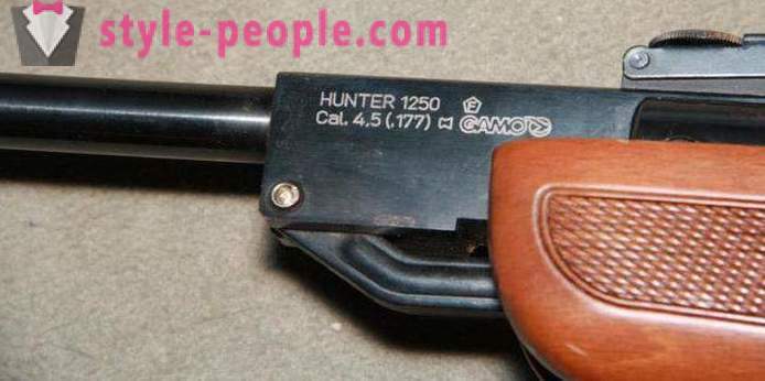Аир пушка Гамо Хантер 1250: преглед, карактеристике и рецензије