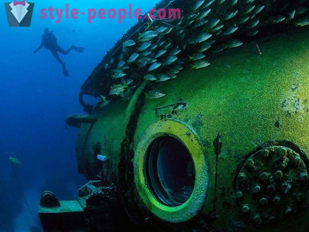 Амазинг становници подводног света у сликама