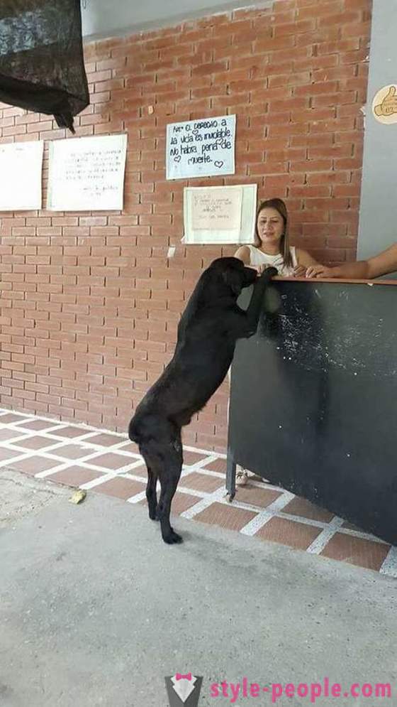 Пас је научио да купи храну за своју валуту