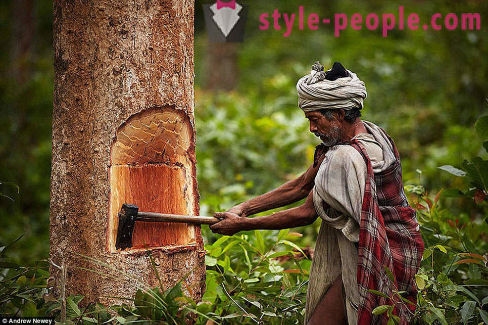 У последњих ловци-сакупљачи: живот једне примитивне племена у Непалу
