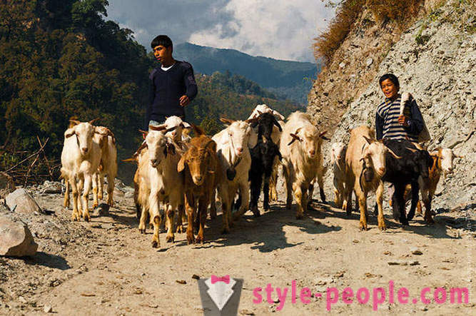 55 чињеница о Непалу очима Руса