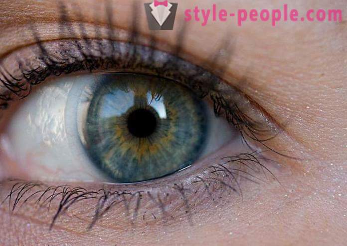 Мочвара боја очију. Шта одређује боју људског ока?