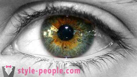 Мочвара боја очију. Шта одређује боју људског ока?