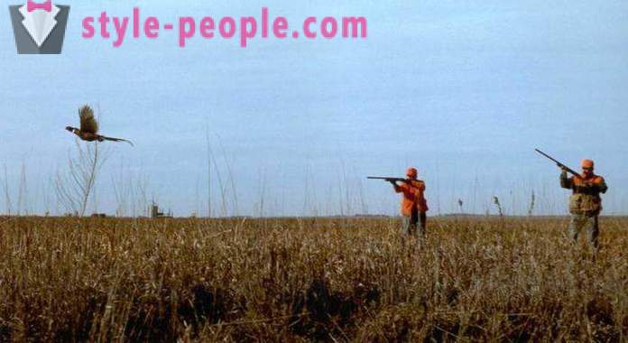 Лов на фазана са хаскија (фото)