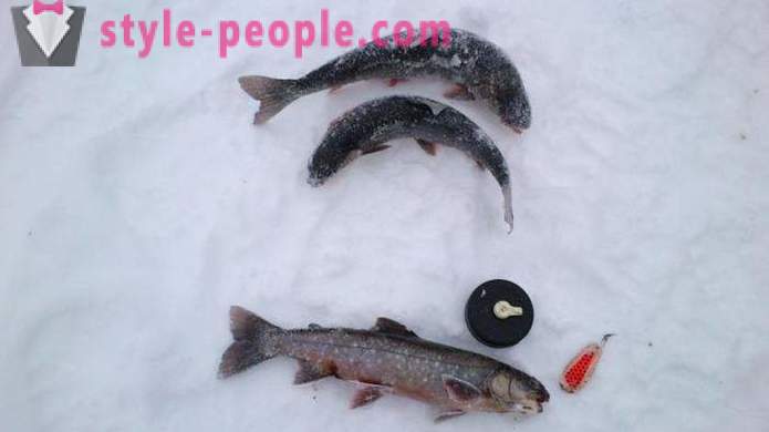 Рибари ноте: пастрмка риболов у зимском периоду