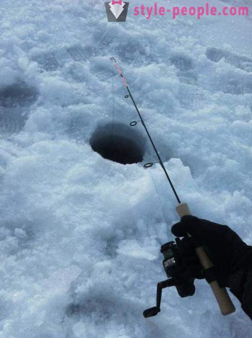 Бурбот риболов зими на зхерлитси. Хватање бурбот у зимском троллинг