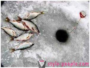 Деверика риболов зими: споља и изнутра за почетнике риболовце