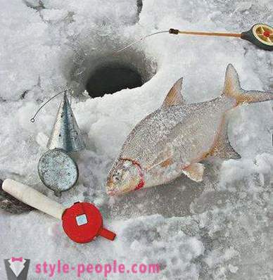 Деверика риболов зими: споља и изнутра за почетнике риболовце